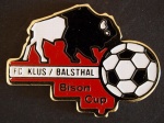 Bison Cup